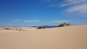 corralejo